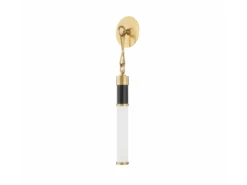 Elegant Hanging Wall Light