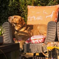 Kingdom Lava Outdoor Outdoor Cushion -Andrew Martin 145397 kingdom lava