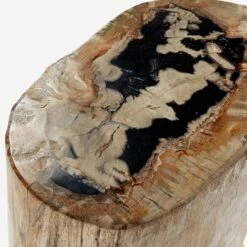 Petrified Log Side Table Or Stool -Andrew Martin 204611 petrified log stool detail 4