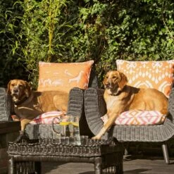 Volcano Lava Outdoor Outdoor Cushion -Andrew Martin 215229 kingdom lava volcano lava