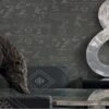 Pythagoras Charcoal Wallpaper -Andrew Martin 216324 pythagoras wallpaper lifestyle 3