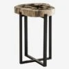 Peter Disk Lamp Table -Andrew Martin 235817 petrified wood lamp table