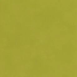 Japan Citrus Wallpaper -Andrew Martin 61986 japan citrus