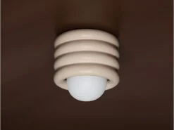 Flush Mount Ceiling Light